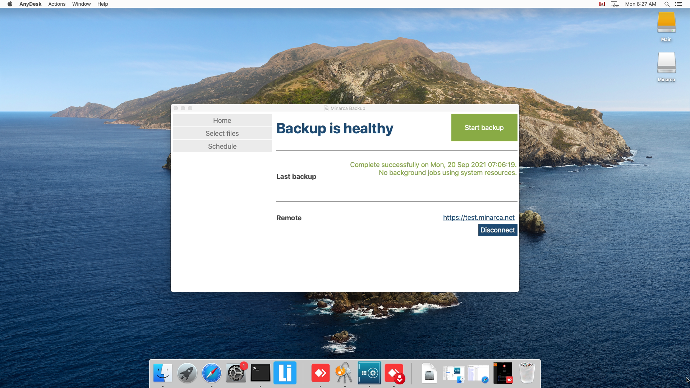 Capture d'écran de Minarca sur MacOS